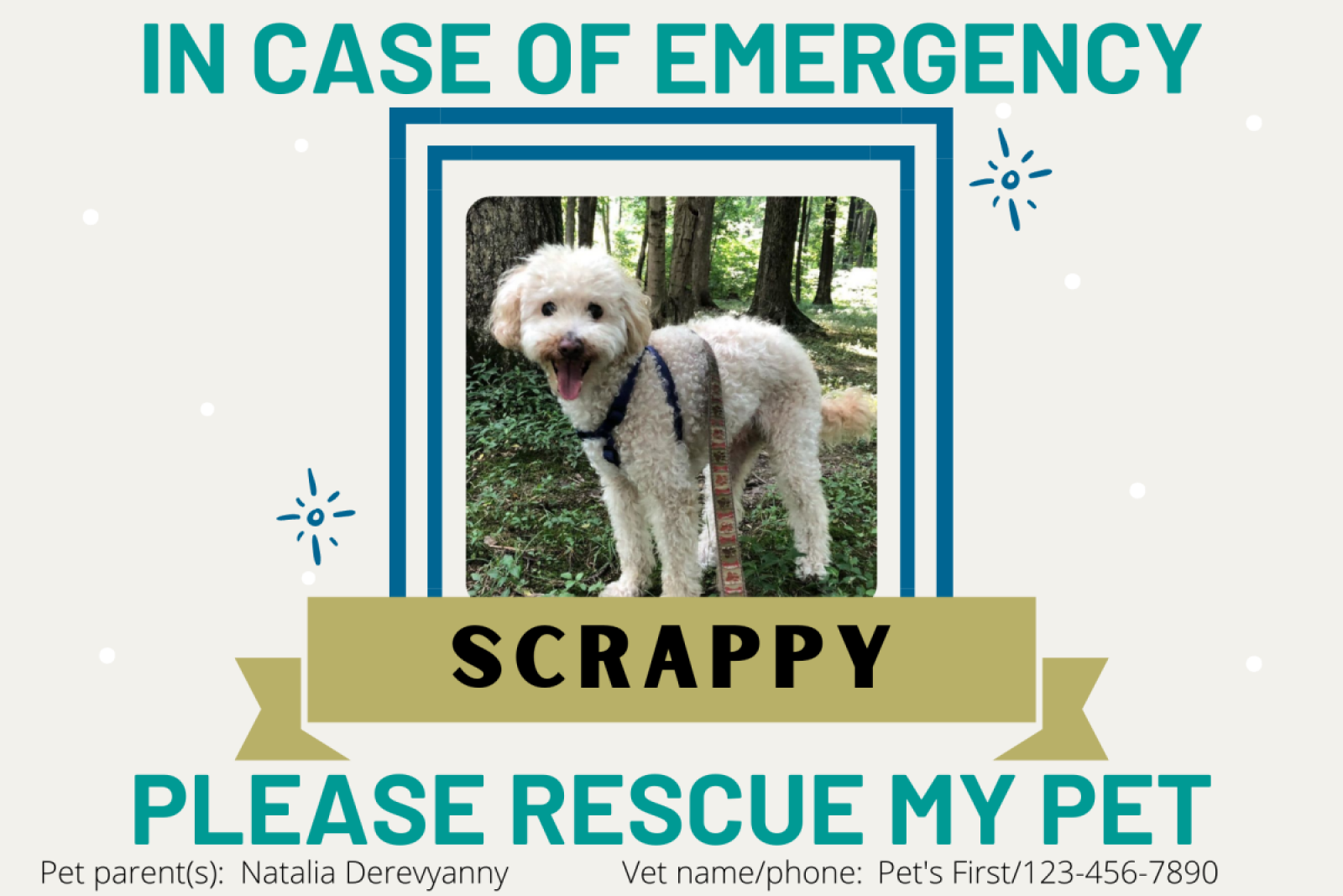 example of a pet emergency sign